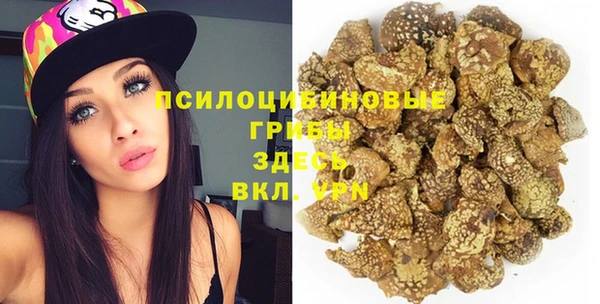 эйфоретик Алзамай