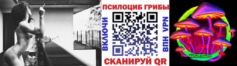 цены   Петушки  Галлюциногенные грибы прущие грибы 