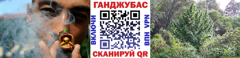 Каннабис OG Kush  Петушки 